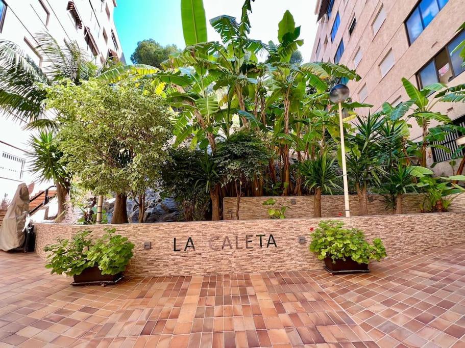 ラ・エラドゥーラLa Caleta Sea Views And Poolアパートメント エクステリア 写真
